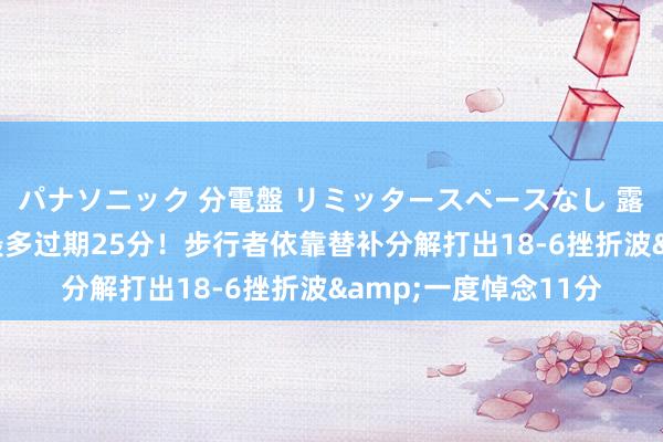 パナソニック 分電盤 リミッタースペースなし 露出・半埋込両用形 最多过期25分！步行者依靠替补分解打出18-6挫折波&一度悼念11分