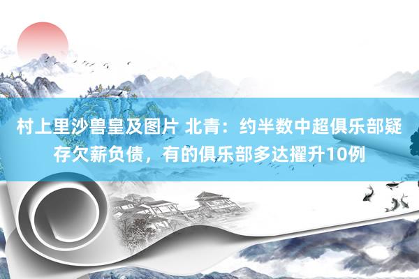 村上里沙兽皇及图片 北青：约半数中超俱乐部疑存欠薪负债，有的俱乐部多达擢升10例